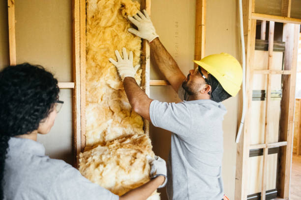Best Spray Foam Insulation  in Castroville, TX