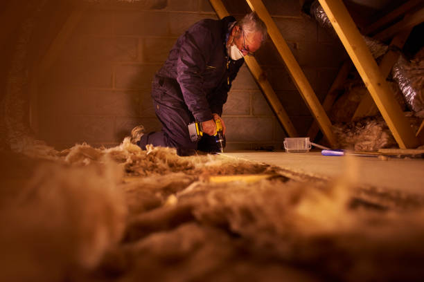 Best Spray Foam Insulation  in Castroville, TX